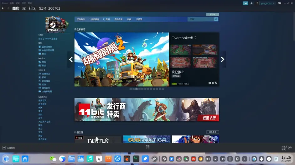 Steam